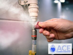 Gas Safety Certificate Worcester WR1 visual inspection